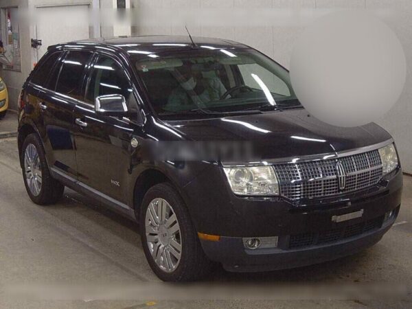 2010 LINCOLN MKX - Image 2