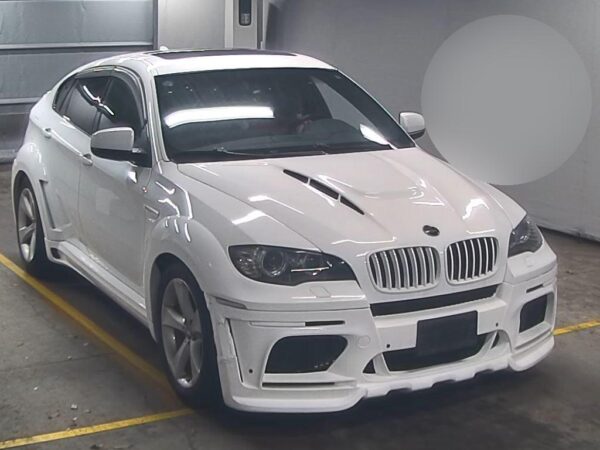 2010 BMW X6