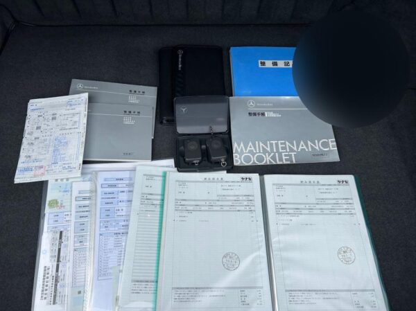 1993 MERCEDES-BENZ MEDIUM-CLASS - Image 10